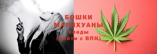 гидропоника Ладушкин