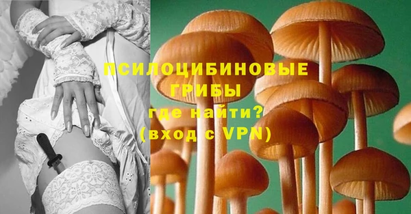 соль ск Лабытнанги