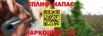 Альфа ПВП Новокубанск