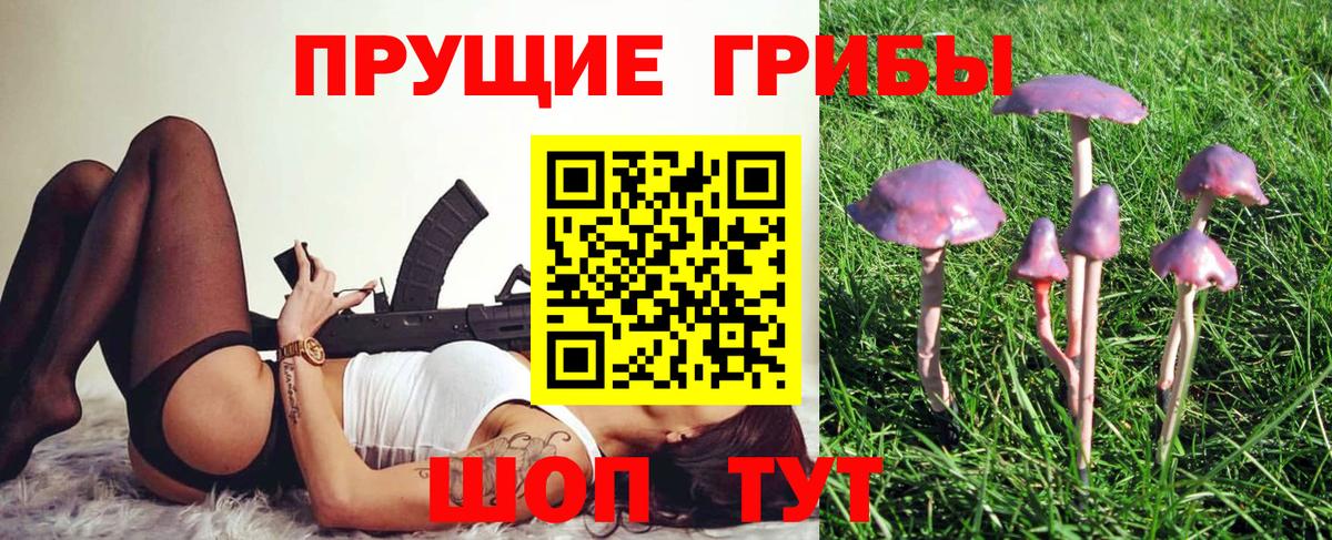 Старый Оскол  Псилоцибиновые грибы Psilocybine cubensis  Вход с VPN  Псилоцибиновые грибы мицелий 