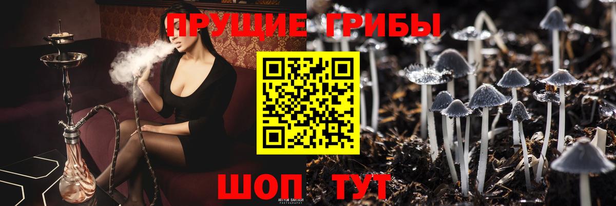 Псилоцибиновые грибы GOLDEN TEACHER  Старый Оскол 